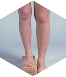 orthopaedicsindia