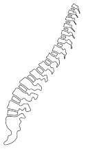 orthopaedicsindia